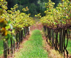 Fussy Grape Winery - Surfers Gold Coast 2