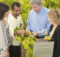 Jacob's Creek Vineyard Tour - Surfers Gold Coast