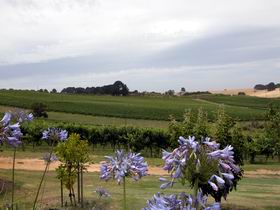 Mount Jagged Wines - Surfers Gold Coast 1