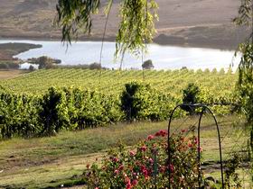 Mount Jagged Wines - Surfers Gold Coast 2