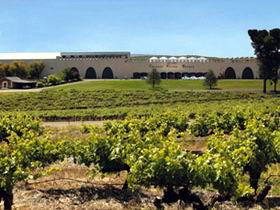 Taylors Wines - Surfers Gold Coast 0
