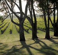 Henry's Drive Vignerons - Surfers Gold Coast
