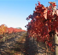 Kooyonga Creek Wines - Surfers Gold Coast