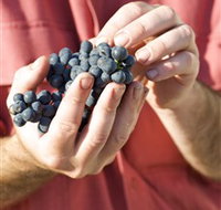 Brown Magpie Wines - Surfers Gold Coast