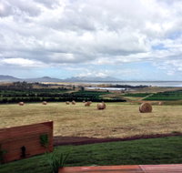 The Hazards Vineyard - Devil's Corner - Surfers Gold Coast