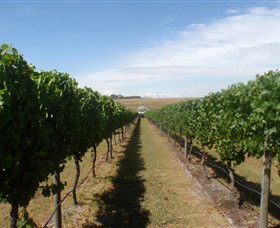 Cannibal Creek Vineyard - Surfers Gold Coast 1
