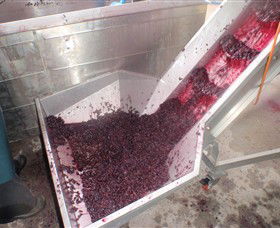 Cannibal Creek Vineyard - Surfers Gold Coast 6