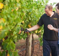 Fratin Brothers Vineyard - Surfers Gold Coast