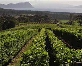Bream Creek Vineyard - Surfers Gold Coast 0