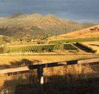 Optimiste Wines - Surfers Gold Coast