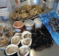 Advance Mussel Supply - Surfers Gold Coast