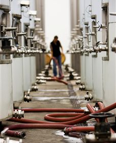 Punt Road Winery - Surfers Gold Coast 5