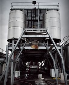 Punt Road Winery - Surfers Gold Coast 8