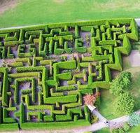 Hedgend Maze and Healesville Laser Sport - Surfers Gold Coast