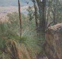 Mount Lawson State Park - Surfers Gold Coast