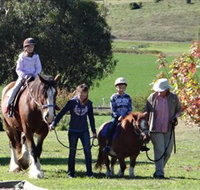Bathurst Farm Experience - Surfers Gold Coast