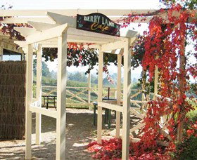 Blue Hills Berries & Cherries - Surfers Gold Coast 1