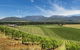 Feathertop Winery - thumb 3
