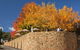 Feathertop Winery - thumb 5