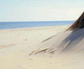 Lilley's Beach - Surfers Gold Coast 2