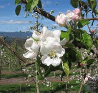 Mouat's Farm - Surfers Gold Coast