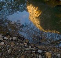 Abercrombie Karst Conservation Reserve - Surfers Gold Coast