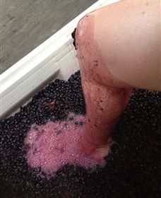 Billy Button Wines - Surfers Gold Coast 1