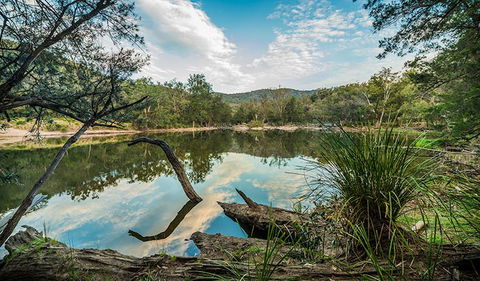Warrabah National Park - Surfers Gold Coast 0