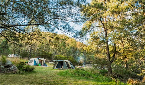 Warrabah National Park - Surfers Gold Coast 1