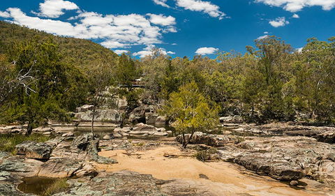 Warrabah National Park - Surfers Gold Coast 3