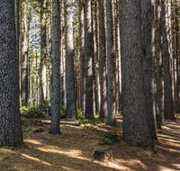 Sugarpine Walk - Surfers Gold Coast