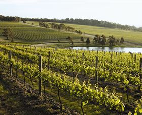 Yabby Lake Vineyard & Cellar Door - Surfers Gold Coast 7