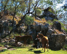 Coomba Falls - Surfers Gold Coast 0