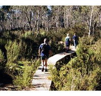 Hume and Hovell Walking Track - Henry Angel Trackhead - Surfers Gold Coast
