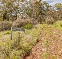 Old Mountain Road Walking Track - Surfers Gold Coast