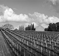 Willow Creek Vineyard - Surfers Gold Coast