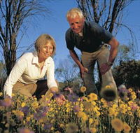 Canna Reserve - Surfers Gold Coast