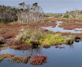 French Island National Park - Surfers Gold Coast 0