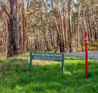 Lobs Hole Ravine 4WD Trail - Surfers Gold Coast