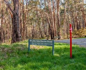 Lobs Hole Ravine 4WD Trail - Surfers Gold Coast 0