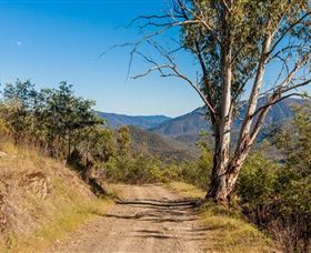 Lobs Hole Ravine 4WD Trail - Surfers Gold Coast 2