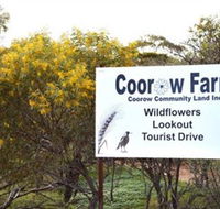 Coorow Farm Wildflower Trail - Surfers Gold Coast