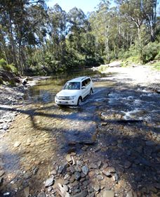 Aberfeldy Four Wheel Drive Track - Surfers Gold Coast 0