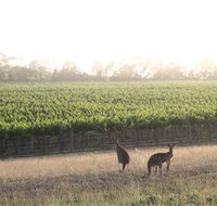 Small Forest Wine - Surfers Gold Coast