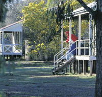 Dryandra Woodland - Surfers Gold Coast