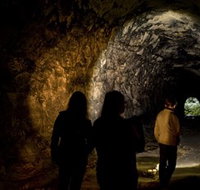 Newnes Plateau - Surfers Gold Coast