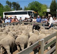 Gold Creek Station - Surfers Gold Coast