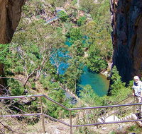 Carlotta Arch walking track - Surfers Gold Coast