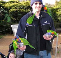 Canberra Walk In Aviary - Surfers Gold Coast