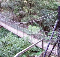 Jenolan River walking track - Surfers Gold Coast